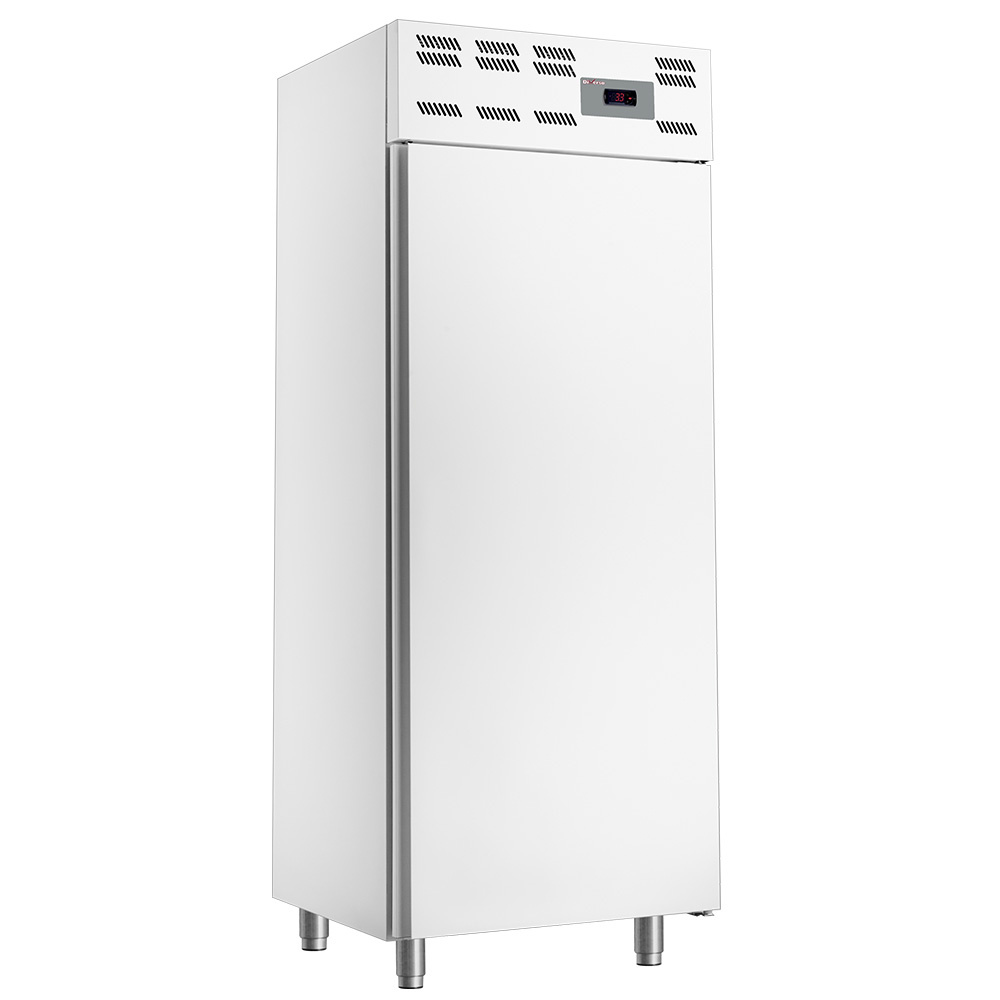 Armoire frigorifique 20x EN 600x400, ventilé (500 Lit.) - Skinplate blanc