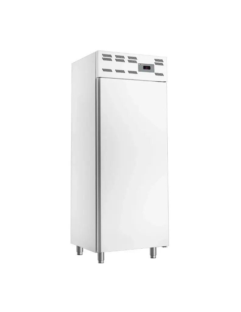 Armoire frigorifique 20x EN 600x400, ventilé (500 Lit.) - Skinplate blanc