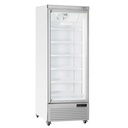 Vertical fridge display, 1 door, 615 liters - WHITE