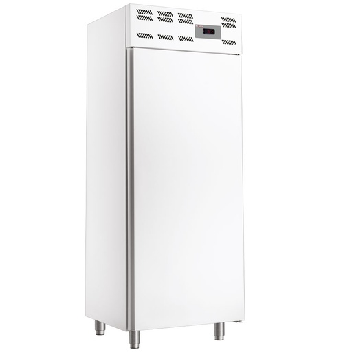 [WR-50WS-N-2EME] Freezer cabinet 20x EN 600x400, static, (500 Lit.) - Skinplate white